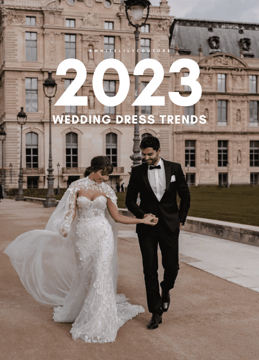 elegant wedding dresses 2023 Lace A-Line Beach Wedding Dress V-neck Appliques Elegant Classy 2023 W –  DorrisDress main image 1