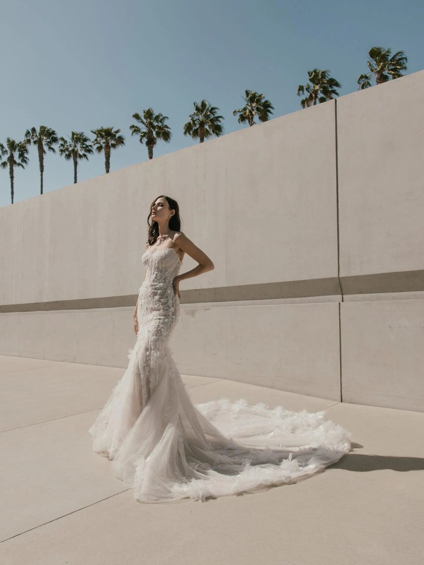 Alabaster | Size 14