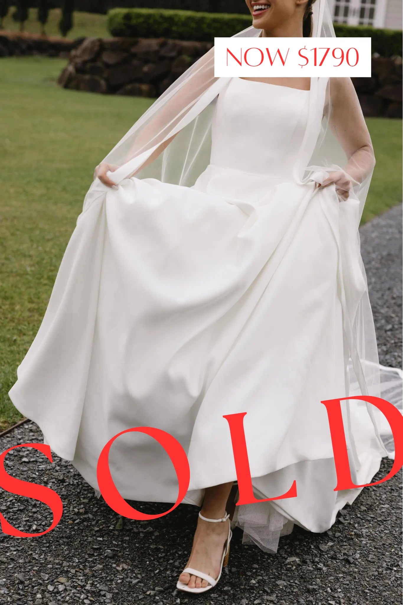 Aster | Size 8