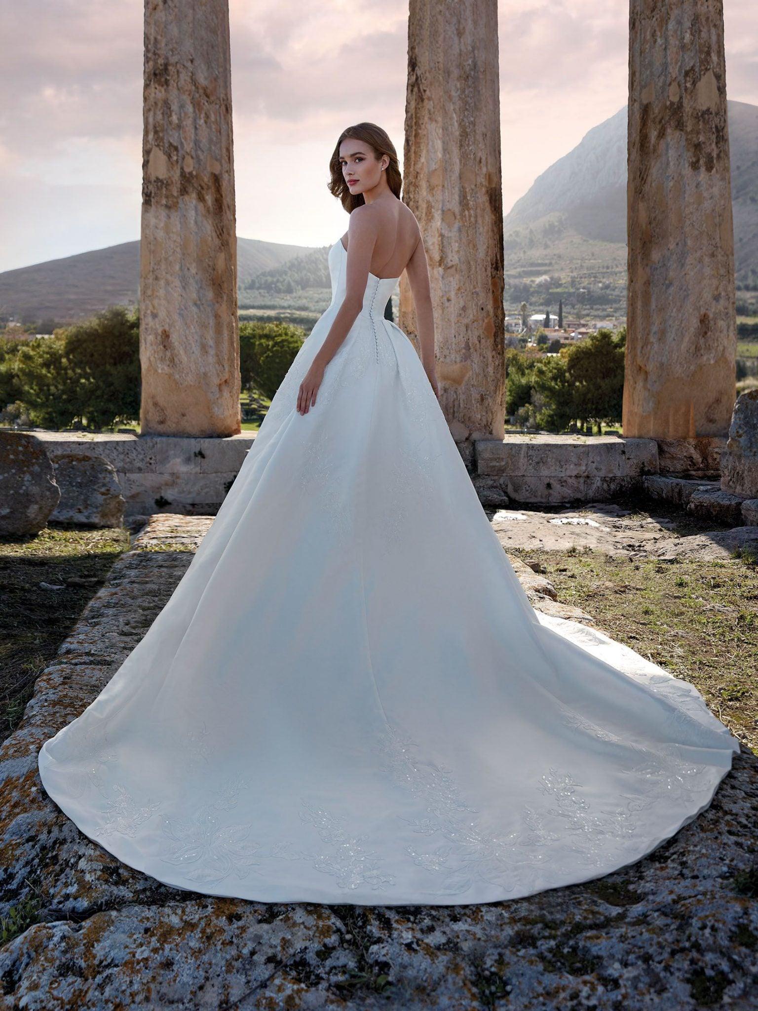 Tiche Nicole Milano Classic Strapless Ballgown with
